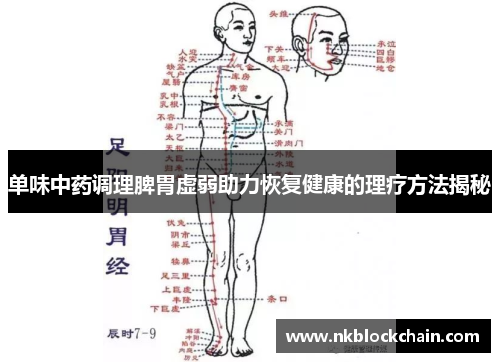 单味中药调理脾胃虚弱助力恢复健康的理疗方法揭秘