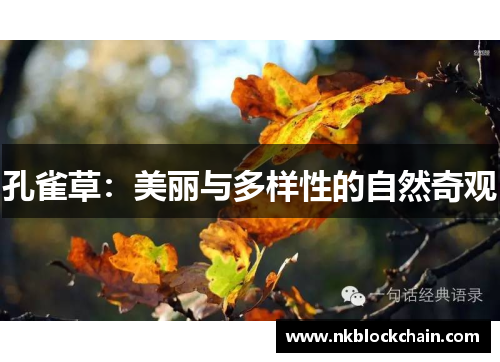孔雀草：美丽与多样性的自然奇观