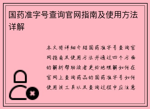 国药准字号查询官网指南及使用方法详解