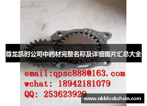 尊龙凯时公司中药材完整名称及详细图片汇总大全